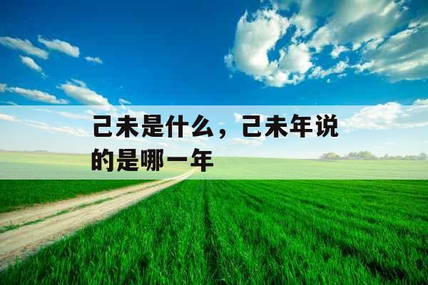己未是什么，己未年说的是哪一年