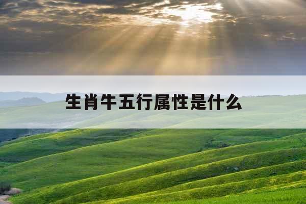 生肖牛五行属性是什么