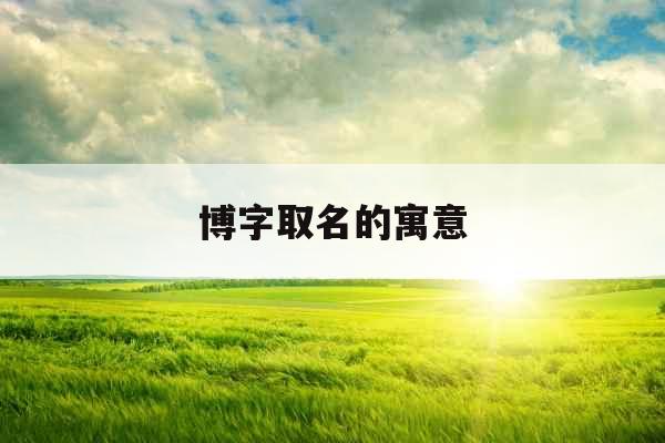 博字取名的寓意