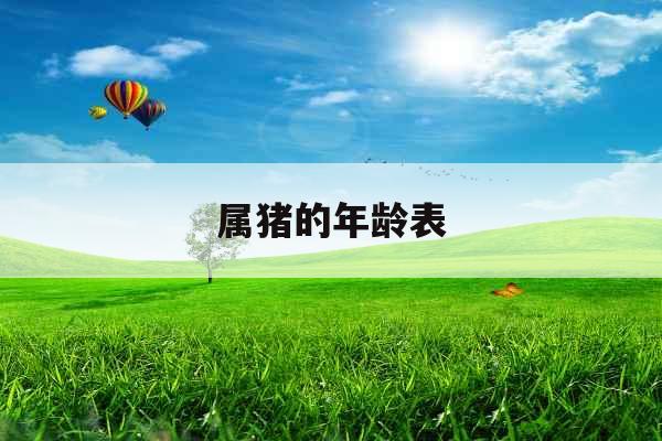 属猪的年龄表