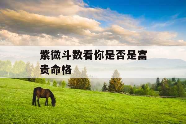 紫微斗数看你是否是富贵命格