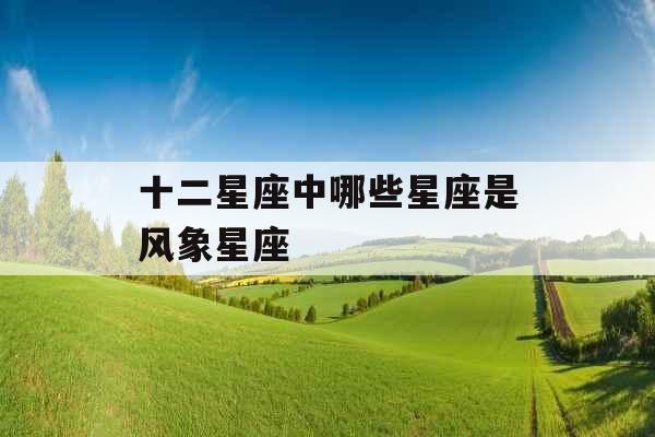 十二星座中哪些星座是风象星座