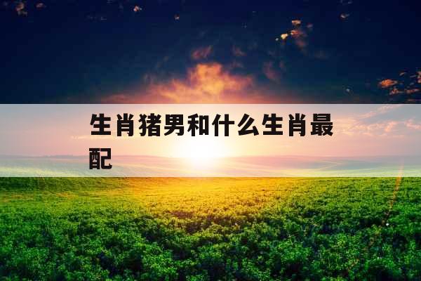 生肖猪男和什么生肖最配