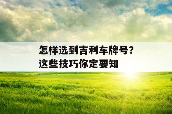 怎样选到吉利车牌号？这些技巧你定要知