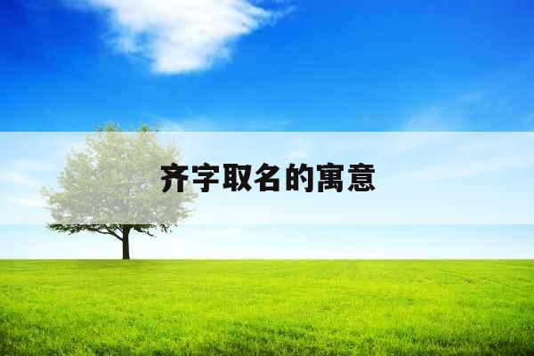 齐字取名的寓意
