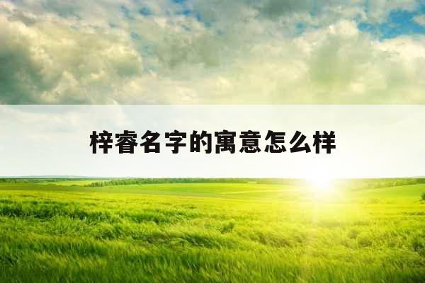 梓睿名字的寓意怎么样