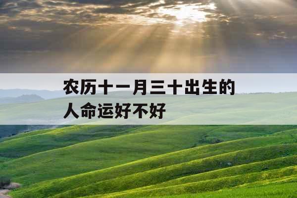 农历十一月三十出生的人命运好不好
