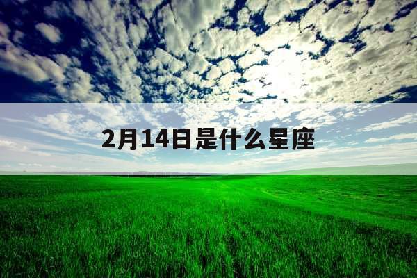 2月14日是什么星座