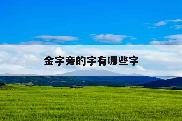 金字旁的字有哪些字