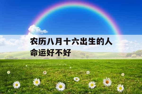 农历八月十六出生的人命运好不好