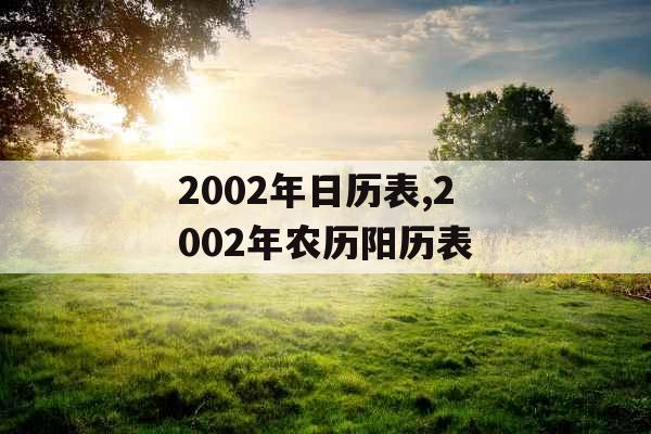 2002年日历表,2002年农历阳历表