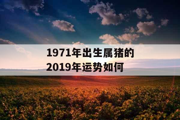 1971年出生属猪的2019年运势如何
