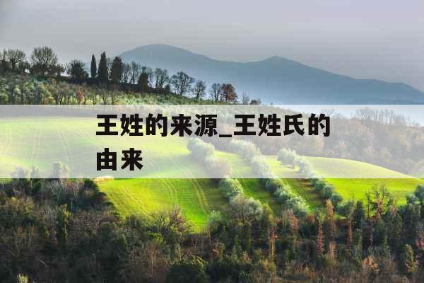王姓的来源_王姓氏的由来