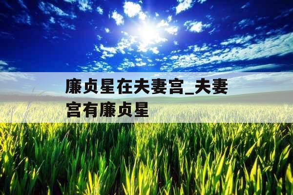 廉贞星在夫妻宫_夫妻宫有廉贞星