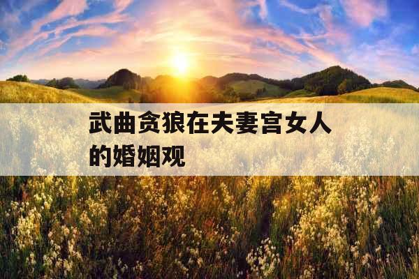 武曲贪狼在夫妻宫女人的婚姻观