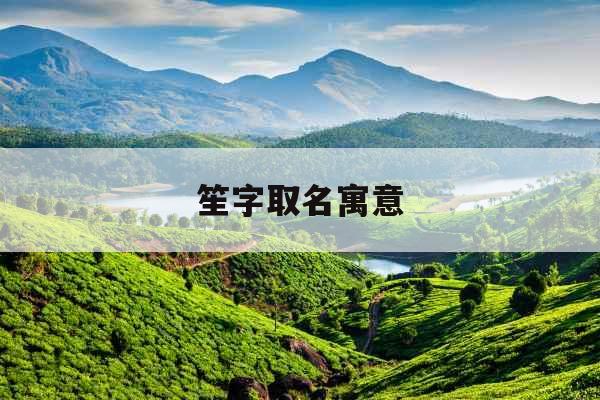 笙字取名寓意