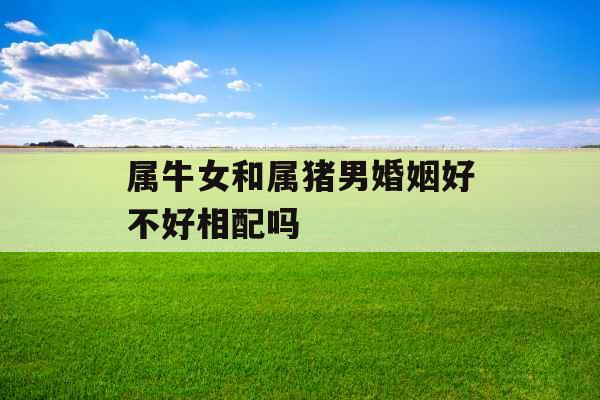 属牛女和属猪男婚姻好不好相配吗