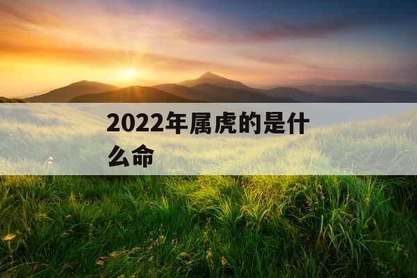2022年属虎的是什么命
