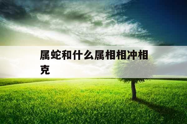 属蛇和什么属相相冲相克