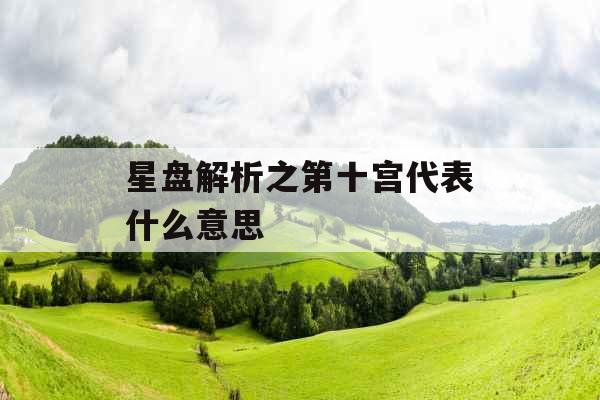 星盘解析之第十宫代表什么意思
