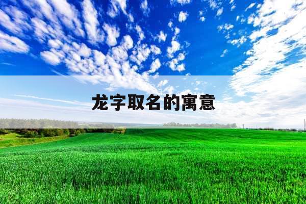 龙字取名的寓意