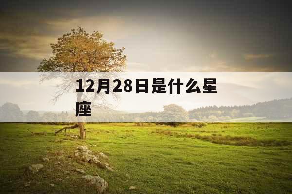 12月28日是什么星座 12月28日是什么星座