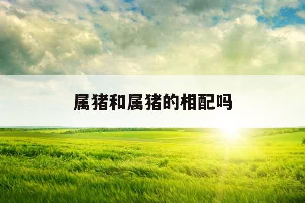 属猪和属猪的相配吗 属猪和属猪的相配吗