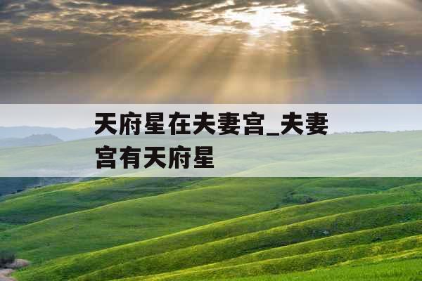 天府星在夫妻宫_夫妻宫有天府星