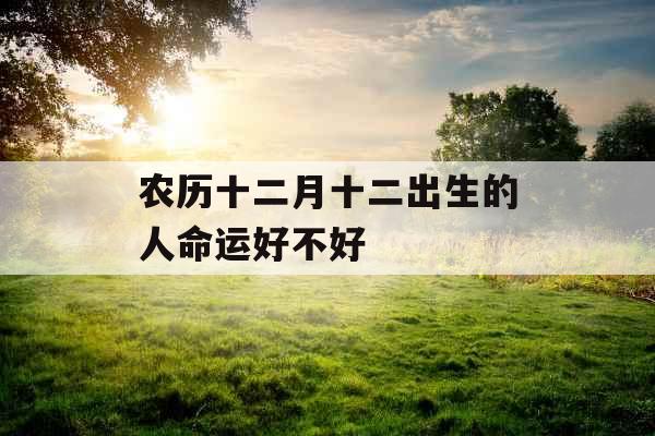 农历十二月十二出生的人命运好不好