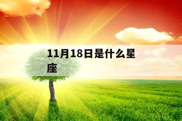 11月18日是什么星座