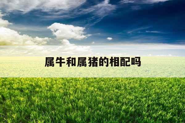 属牛和属猪的相配吗
