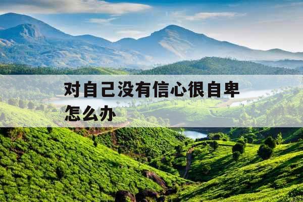 对自己没有信心很自卑怎么办