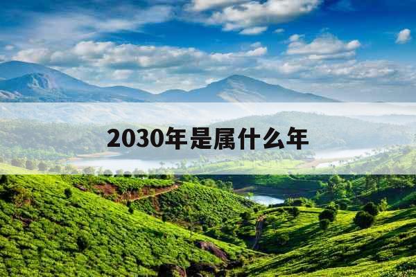 2030年是属什么年