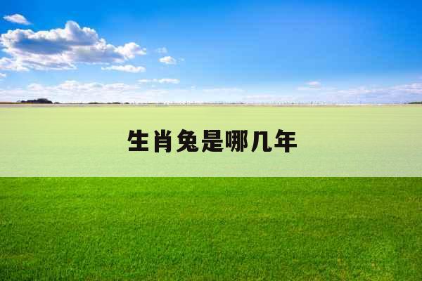 生肖兔是哪几年