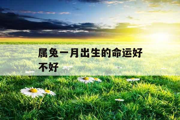 属兔一月出生的命运好不好