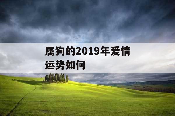 属狗的2019年爱情运势如何
