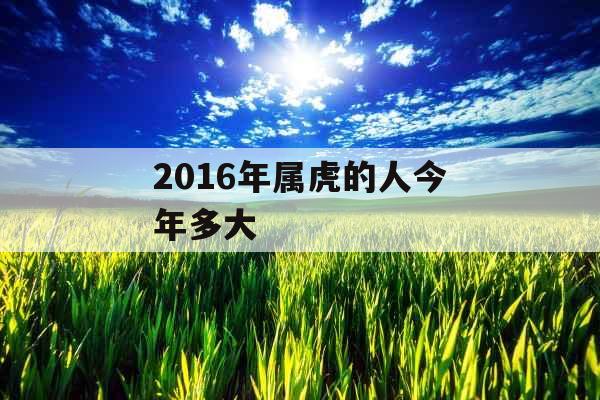 2016年属虎的人今年多大