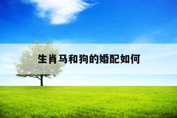 生肖马和狗的婚配如何