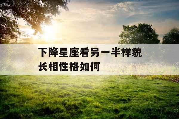 下降星座看另一半样貌长相性格如何