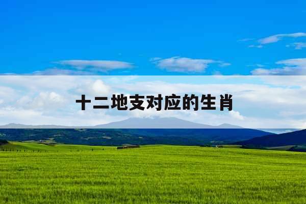 十二地支对应的生肖