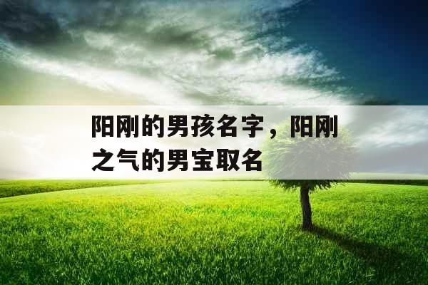 阳刚的男孩名字，阳刚之气的男宝取名