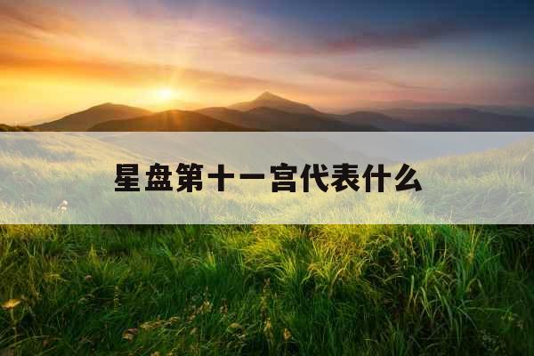 星盘第十一宫代表什么