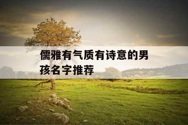 儒雅有气质有诗意的男孩名字推荐