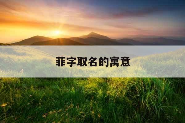 菲字取名的寓意
