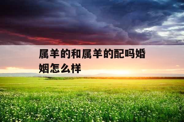 属羊的和属羊的配吗婚姻怎么样