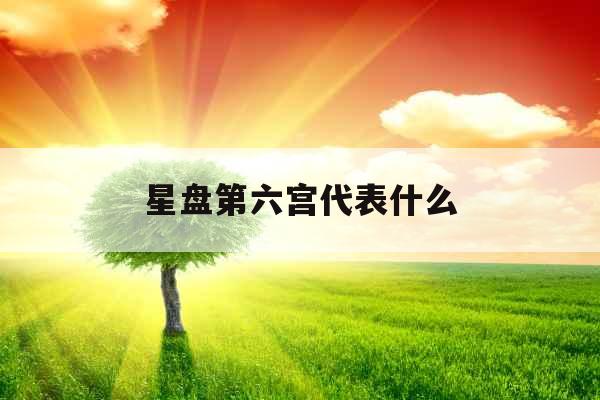星盘第六宫代表什么