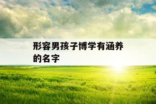 形容男孩子博学有涵养的名字