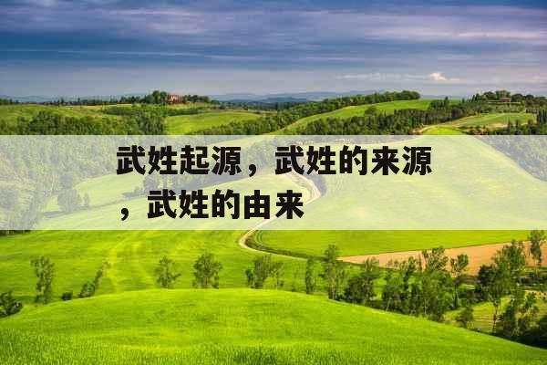 武姓起源，武姓的来源，武姓的由来