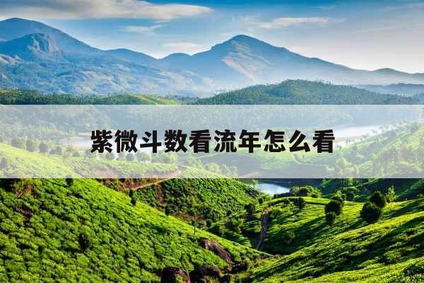 紫微斗数看流年怎么看