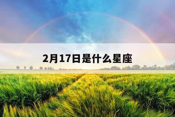 2月17日是什么星座